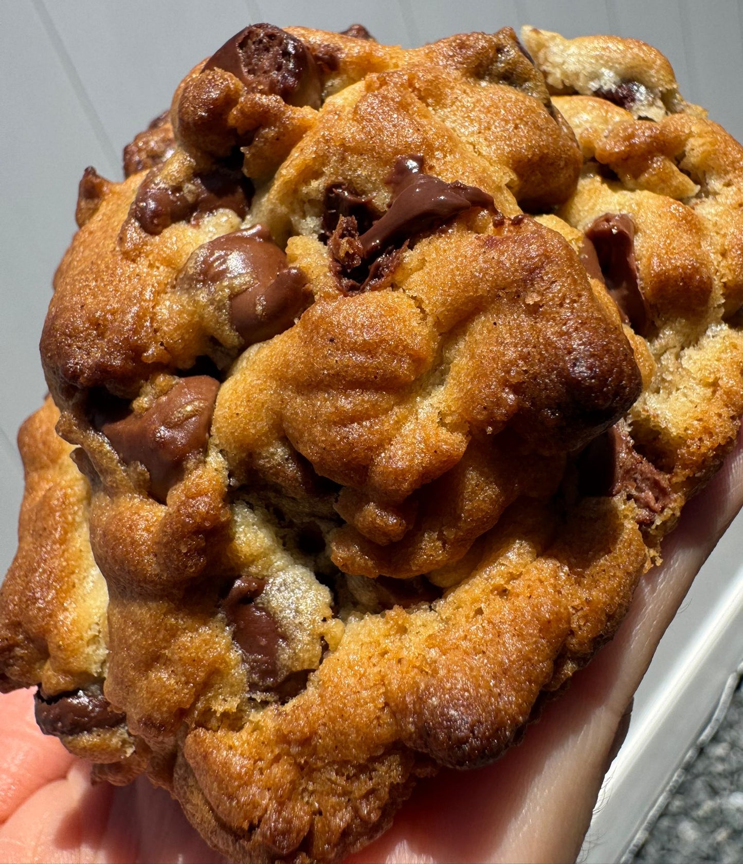 Classic Chocolate Chip Cookie