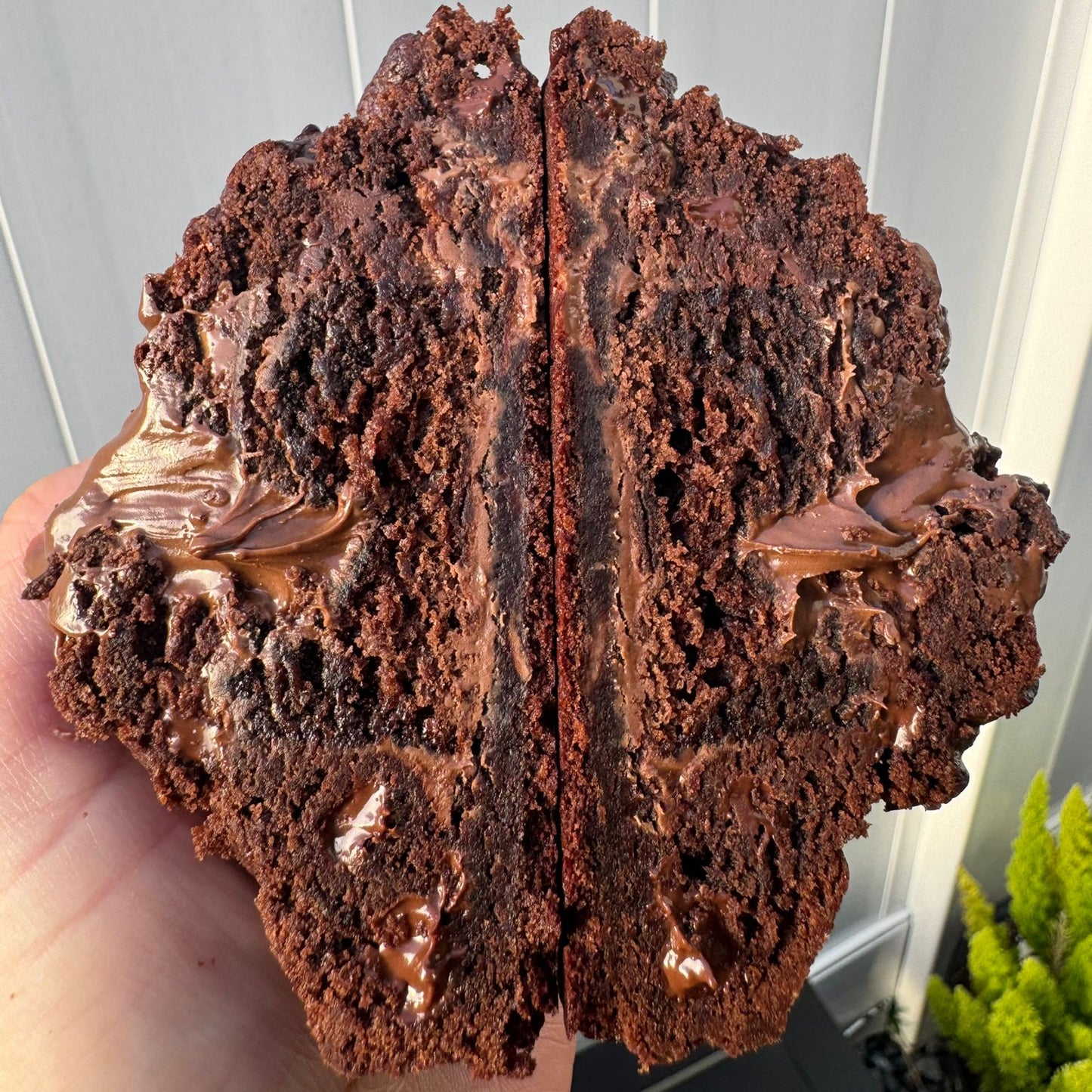 Choco Brownie Cookie