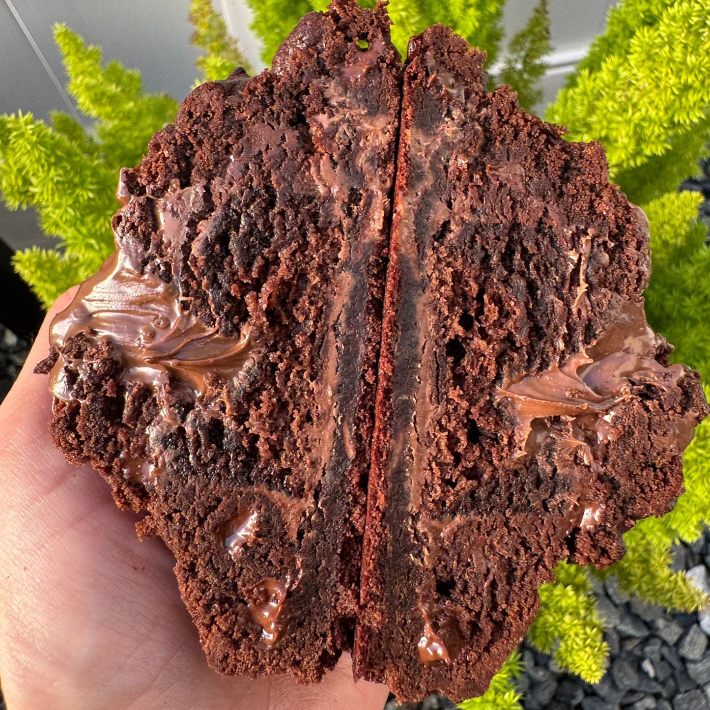 Choco Brownie Cookie