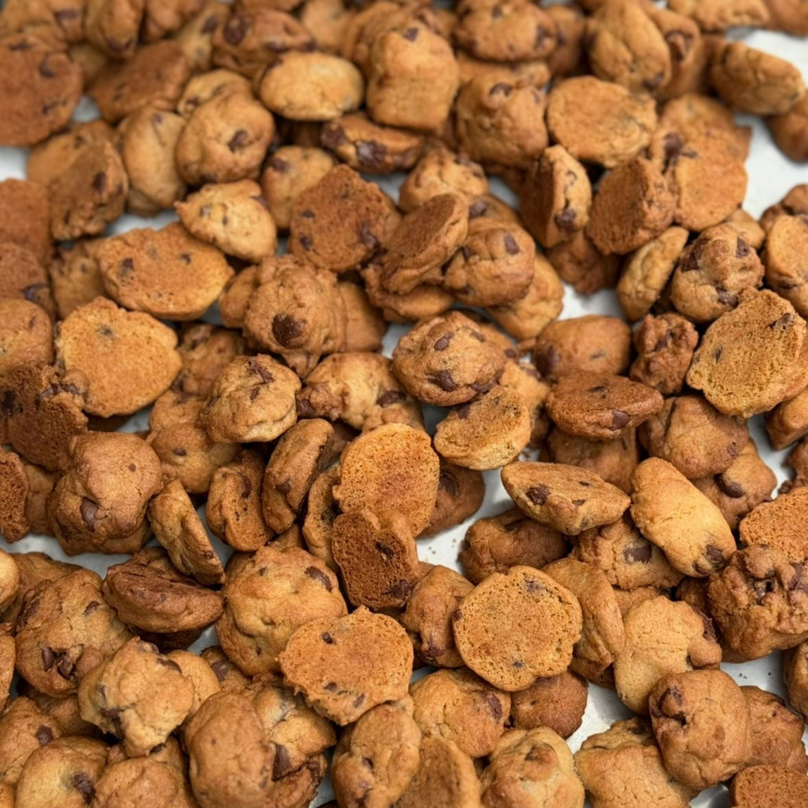 Mini Crunchy Cookies