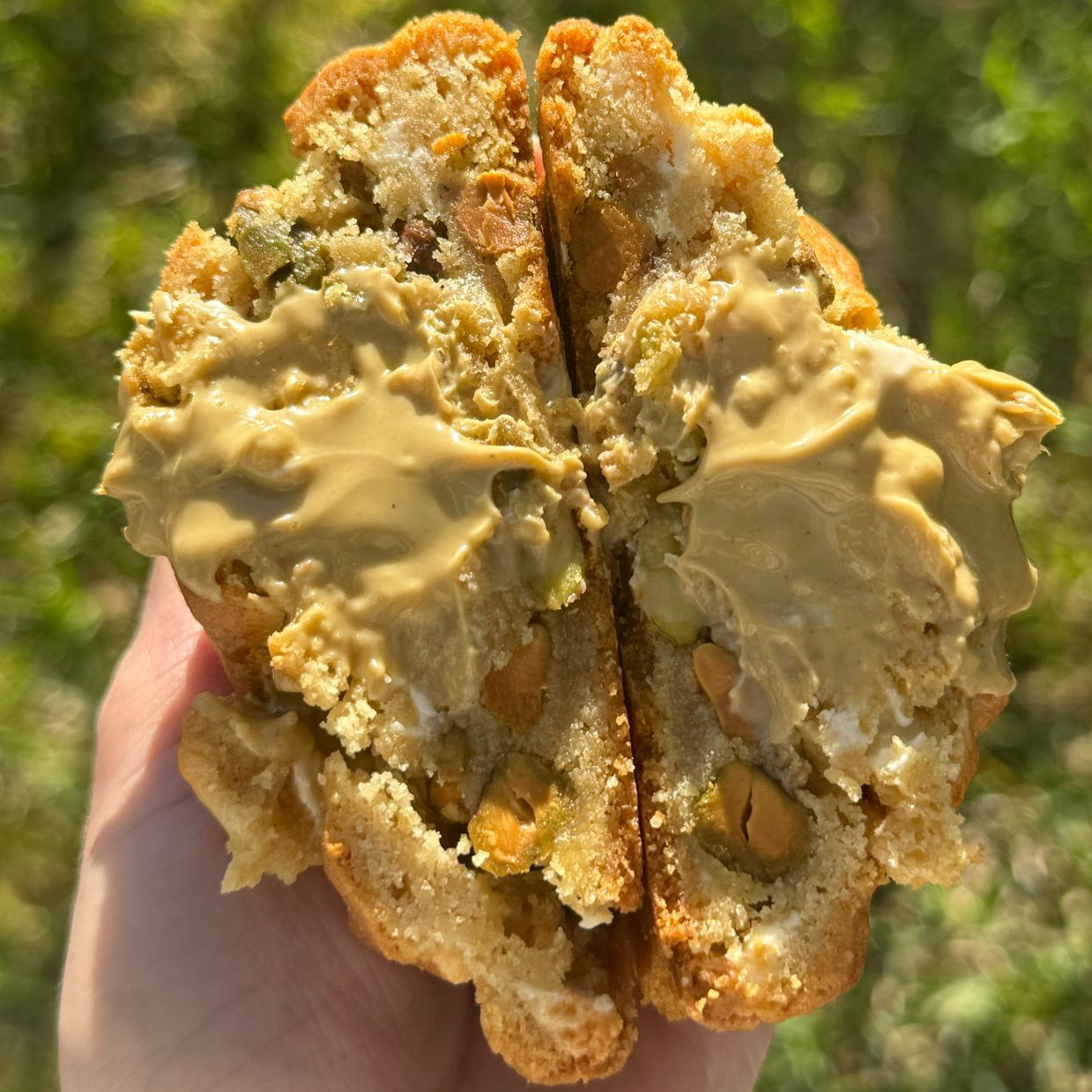 Galleta Delicia De Pistacho