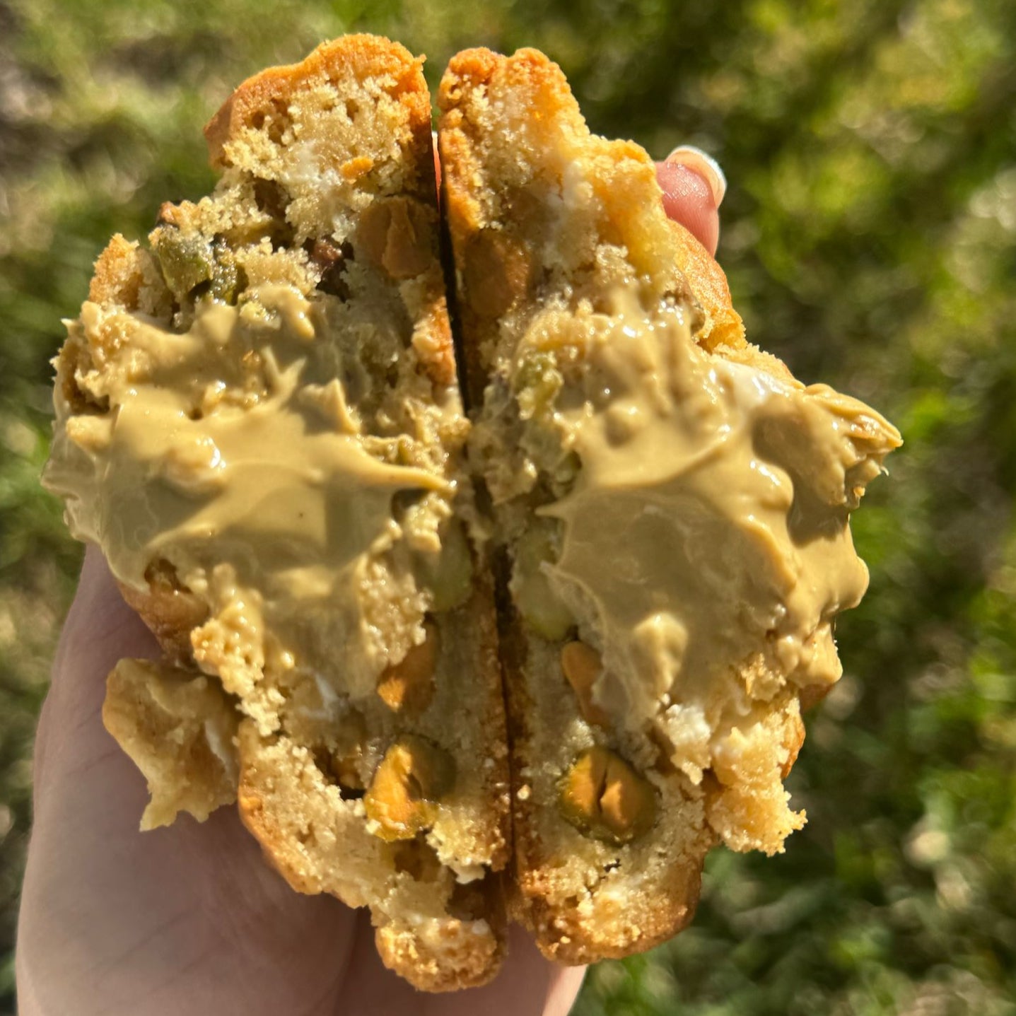 Galleta Delicia De Pistacho