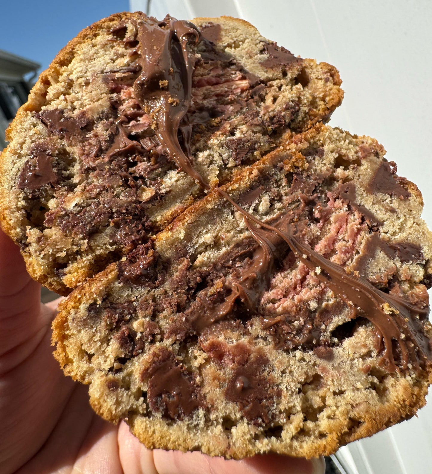 Galleta con trozos de chocolate pirulina
