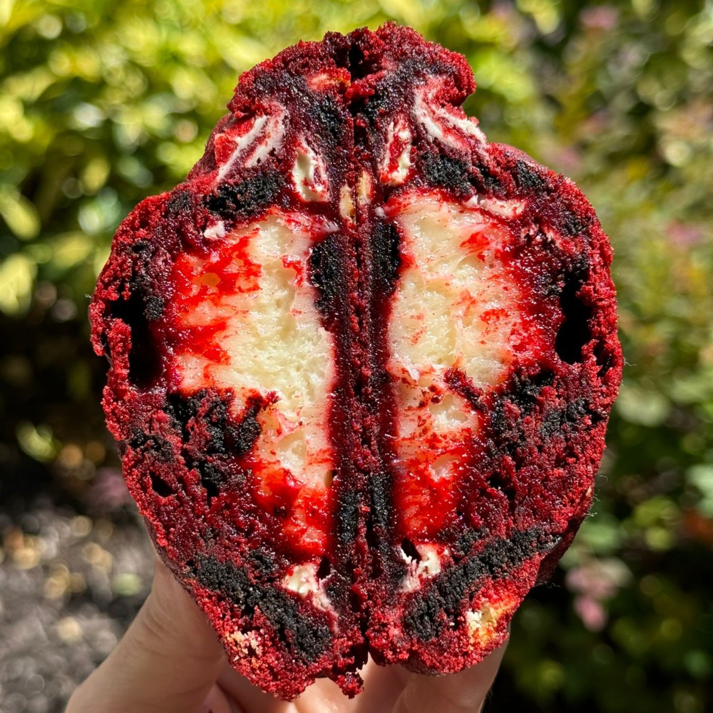 10 Best Selling Cookies