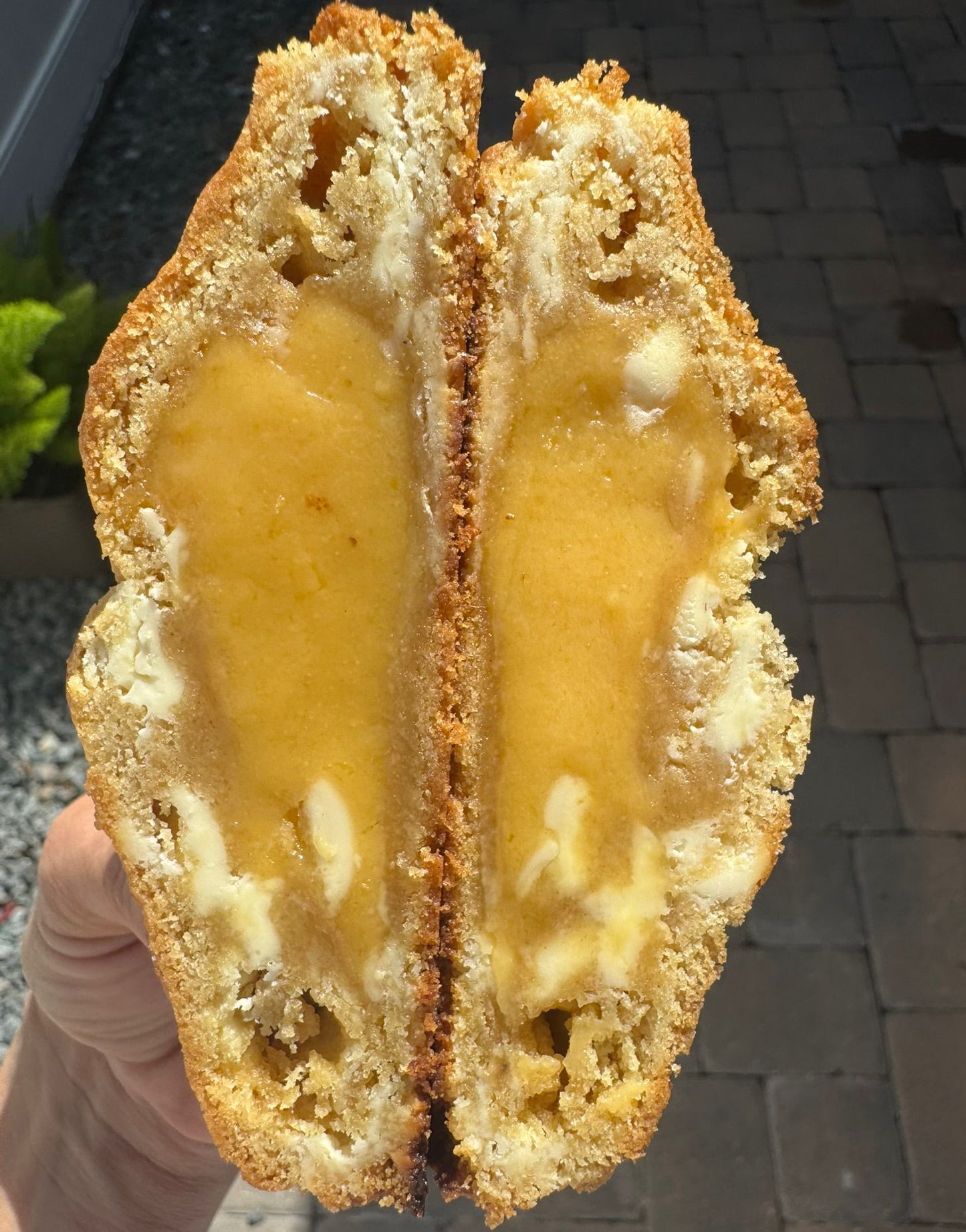 Mango Cookie