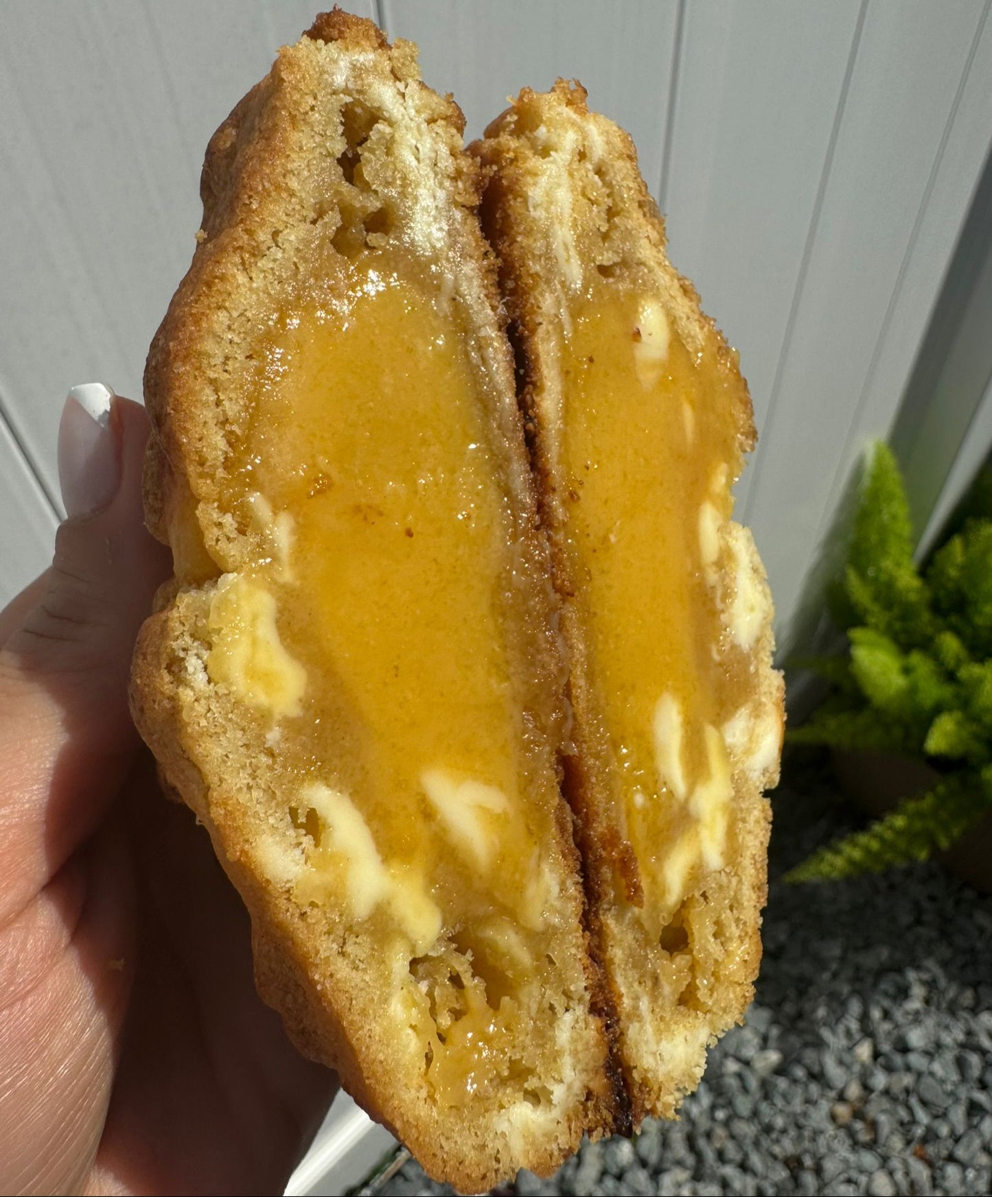 Mango Cookie