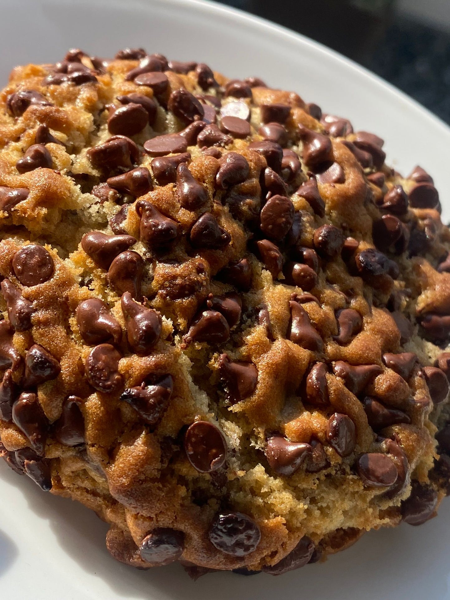 Chocolate Chunk Nutella Cookie