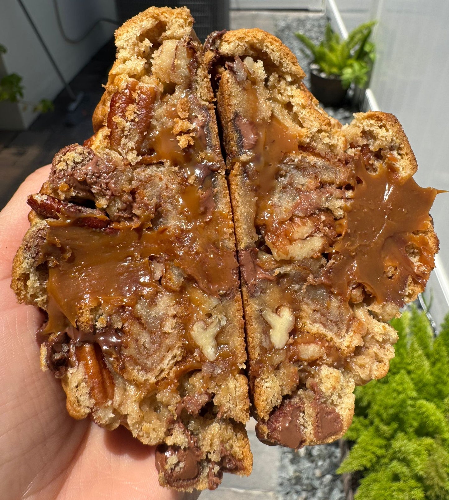 Pecans Dulce de Leche