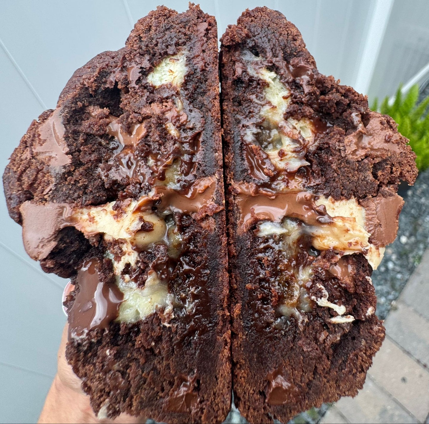 Tiramisu Cookie